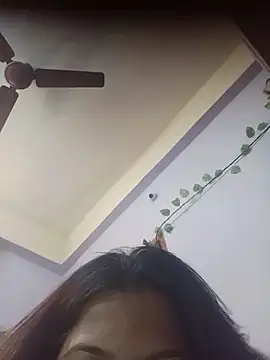 Telugu_Sakshi_ webcam