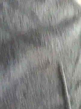 Meriozoro webcam