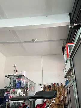 Paul22cm- webcam