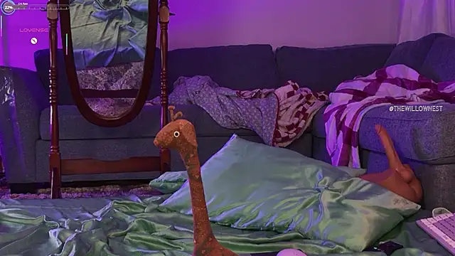 thewillownest_ webcam
