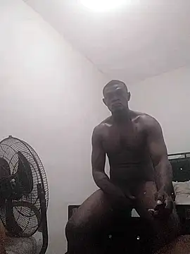 laperson webcam