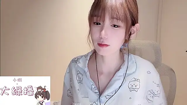 Ruuunn webcam