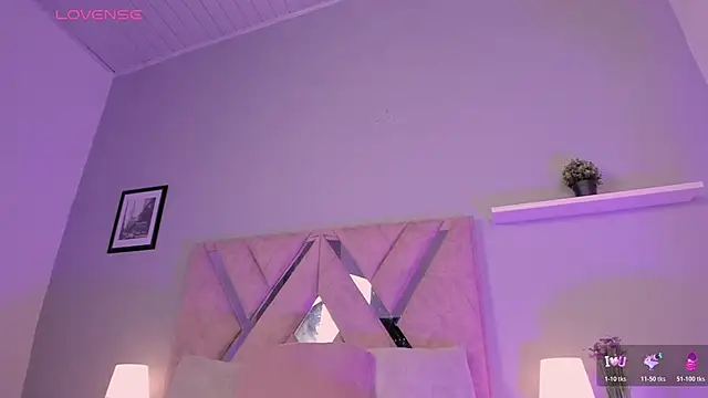 nova_silk webcam