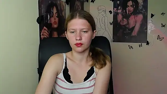 StellaCRL webcam