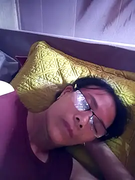 toyo_668 webcam