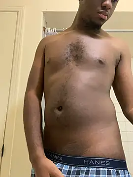 ThickDic28 webcam