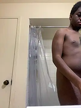 ThickDic28 webcam