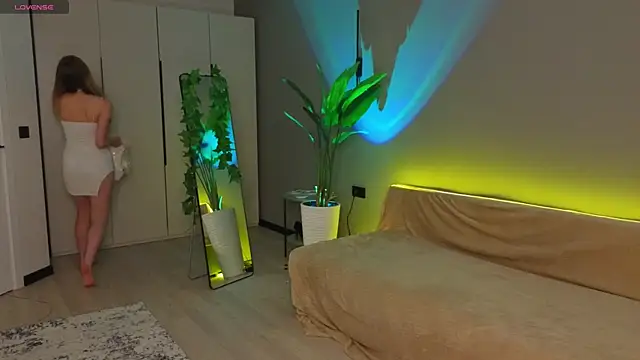 linakorvin webcam