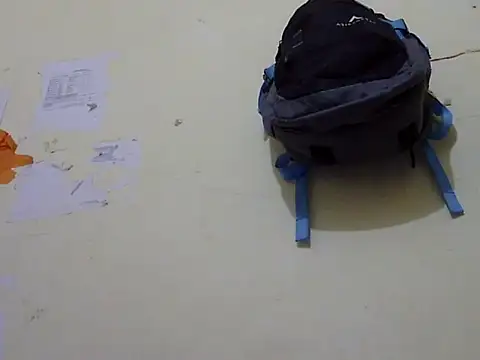 Priyanka_Chopr webcam