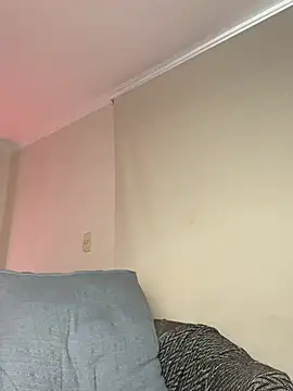 Samispank webcam