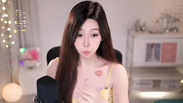 SleepArtist webcam