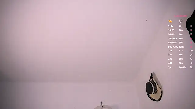 aydan_hw webcam