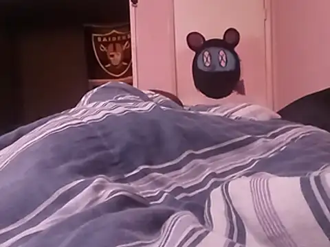 Blkstylion webcam