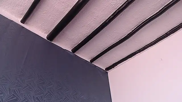 Freyja_eter webcam