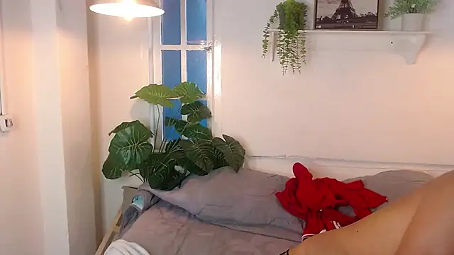 Jesve webcam