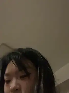 mgvivi webcam