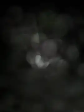biggandybig live cam