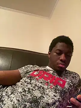 ThickDic28 webcam