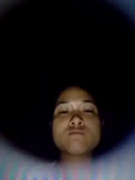 PamPii2x webcam