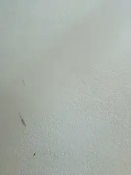 -Bitilu- webcam