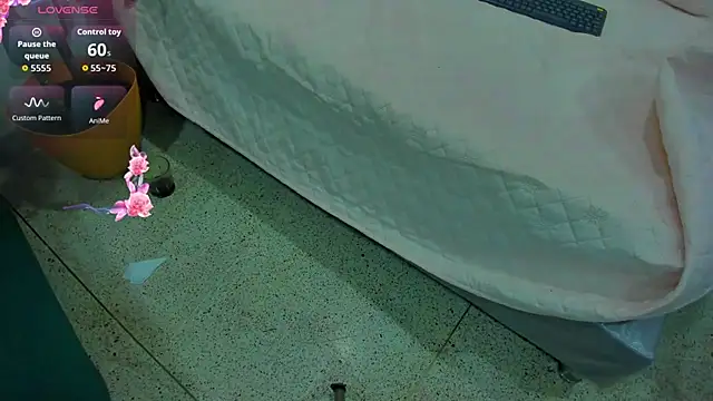 Velvet-Duo webcam