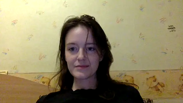 P911 webcam