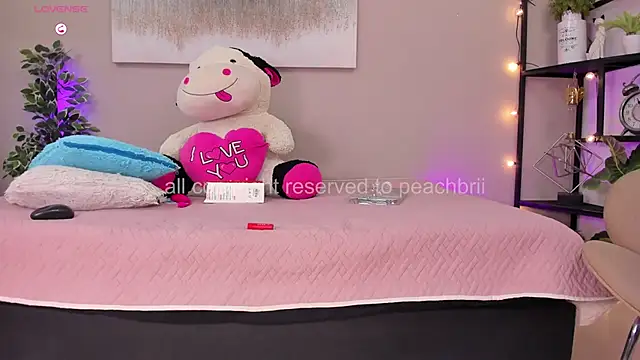 PechBri webcam