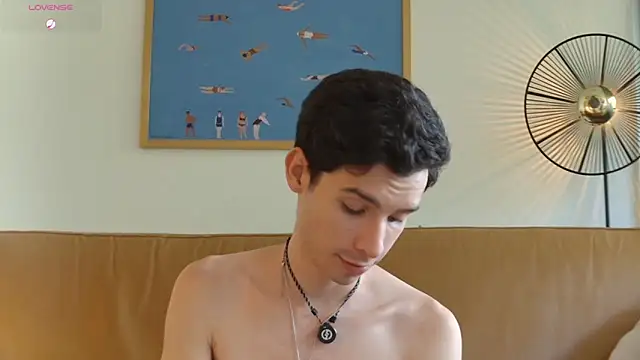 VicenteFerrer live cam
