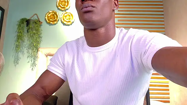 martin_killer webcam