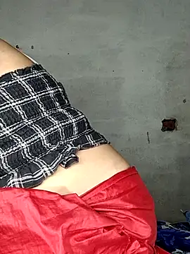 Delhi_Patola webcam