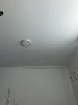 live