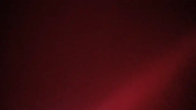 davi1477 webcam