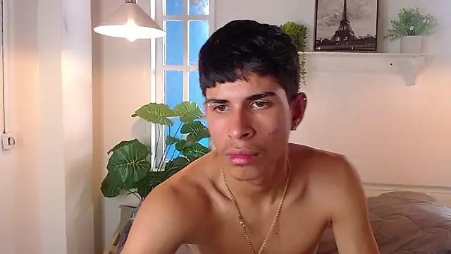 Jesve webcam
