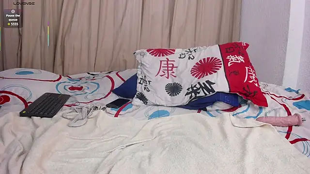 max_ed webcam
