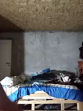 florin421 webcam