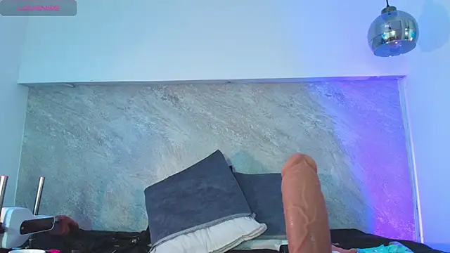Dixie_grey1 webcam