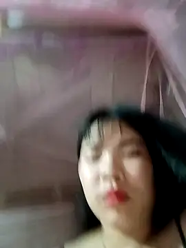 Nul_chal webcam