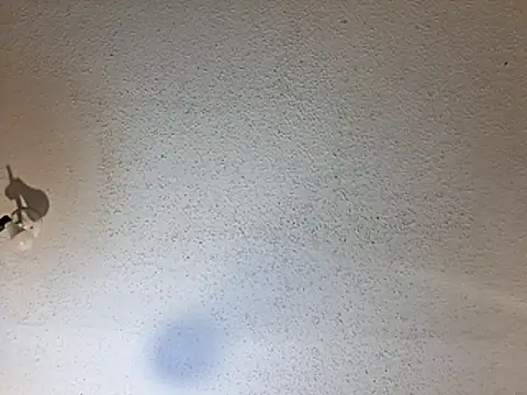 247Srokin webcam
