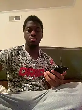 ThickDic28 webcam