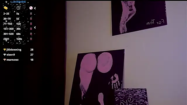 mary_lunar webcam