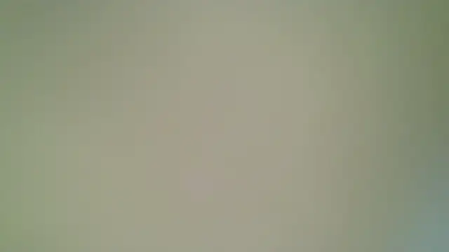 Mushroom83 webcam