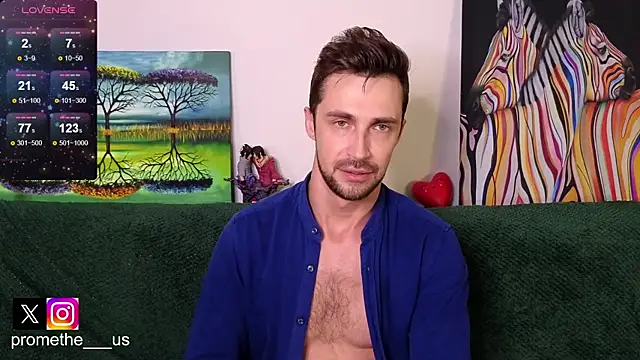 Promethe_us webcam