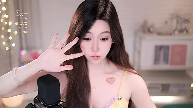 SleepArtist webcam