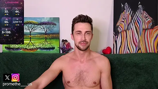 Promethe_us webcam