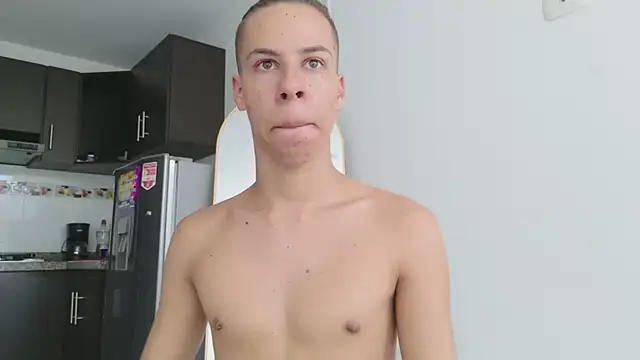 grey___27 webcam