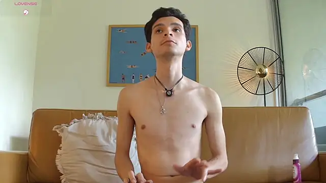 VicenteFerrer live cam