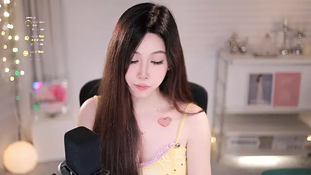 SleepArtist webcam