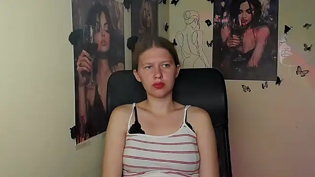 StellaCRL webcam