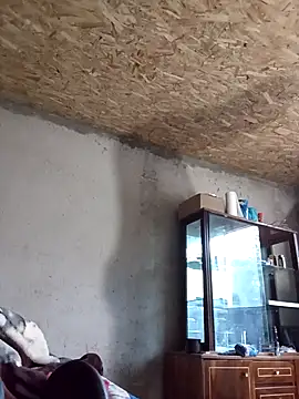 florin421 webcam
