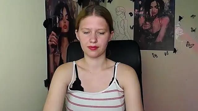 StellaCRL webcam